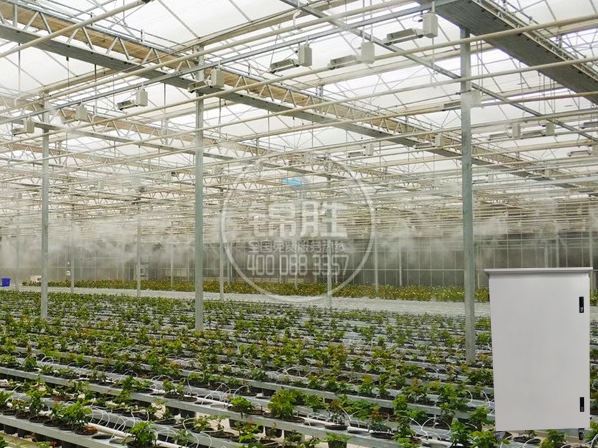Fog System Greenhouse